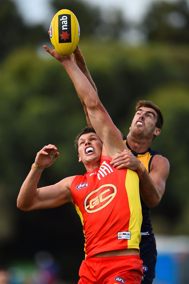 Dan Currie on the Round 5 menu - goldcoastfc.com.au